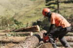 HUSQVARNA 272 XP - Image 4