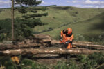 HUSQVARNA 565 - Image 2
