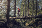 HUSQVARNA 572 XP® - Image 2