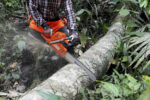 Husqvarna 365 - Image 2
