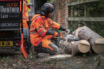 HUSQVARNA 540i XP - Image 5